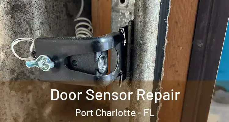  Door Sensor Repair Port Charlotte - FL